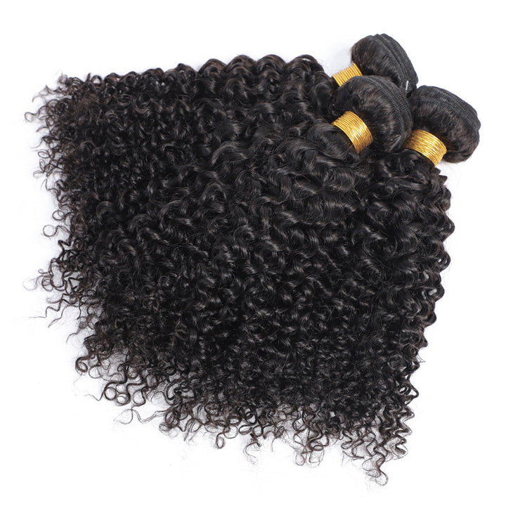 Malaysian Kinky Curly Hair Wefts With Closure